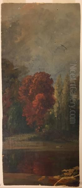 Trees in Autumn Foliage by a Stream - view 1