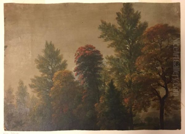 (Landscape Fragment) Autumn Foliage - view 1