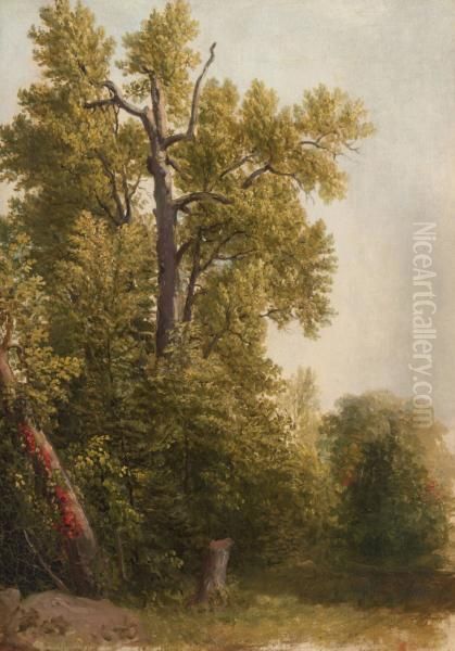 Study from Nature, Hoboken, New Jersey - view 1