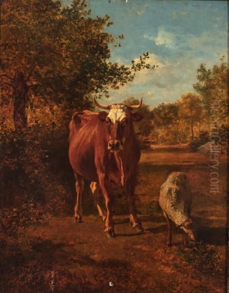 Cow and Sheep - view 1