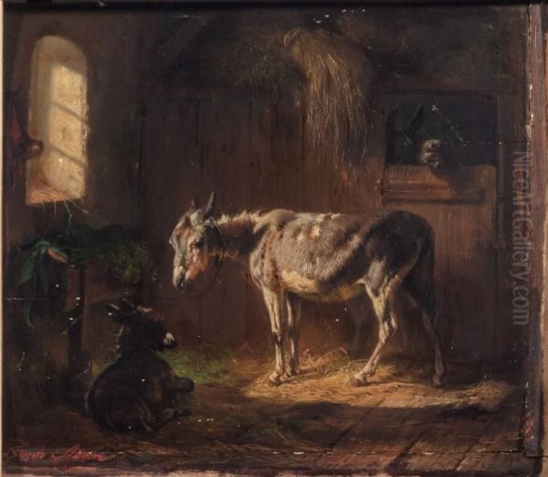 Donkeys in Stable - view 1