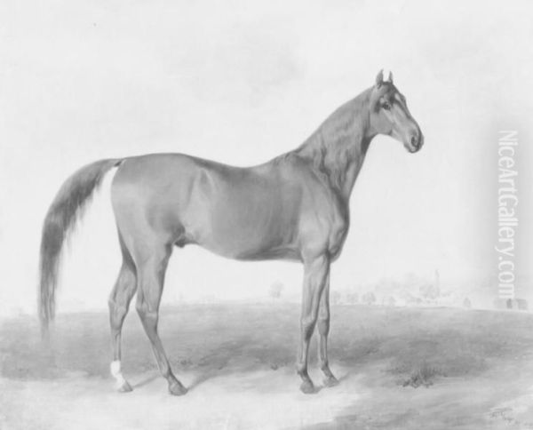 Race Horse "Sir Henry" by Edward Troye