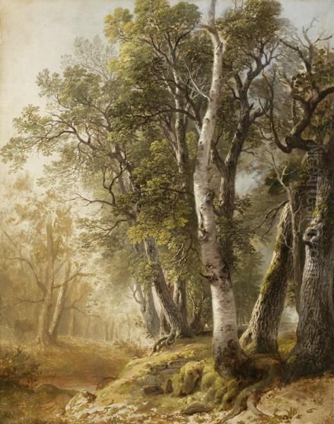 Trees by the Brookside, Kingston, New York - view 1