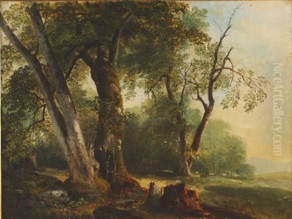 Landscape with Beech Tree - view 1