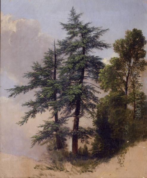 Tree Study, Newburgh, New York - view 1