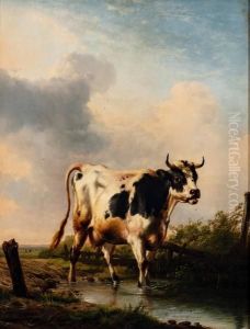 Cow in a Pool by Eugene Verboeckhoven