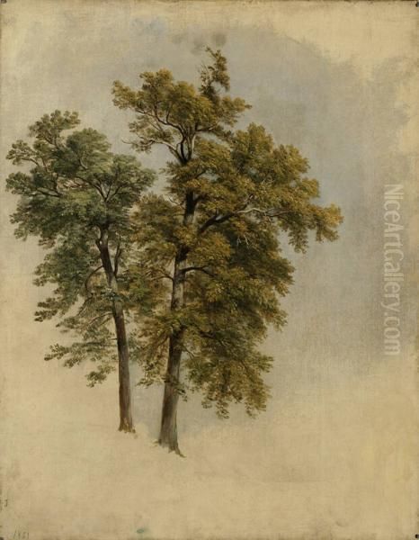 Two Trees - view 1