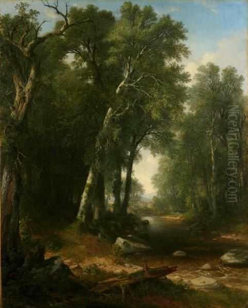 Woodland Brook - view 1