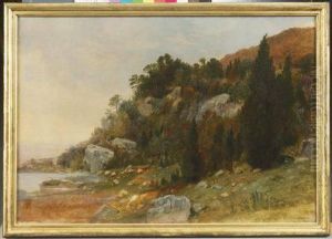 Study from Nature, Peekskill, N.Y. by Asher Brown Durand