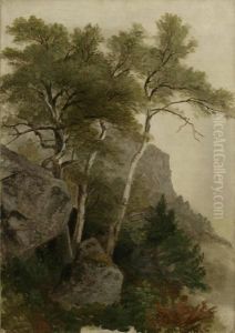 Landscape Landscape