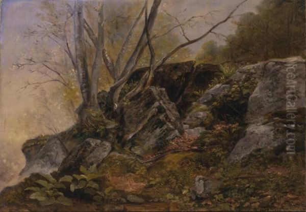 Study from Nature, Bronxville, New York - view 1
