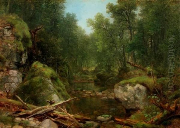 Chapel Pond Brook, Adirondack Mts., N.Y. - view 1