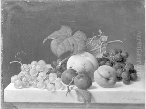 Still Life with Fruit on a Ledge - view 1