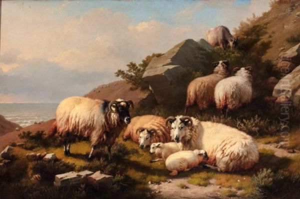 Scotch Sheep - view 1