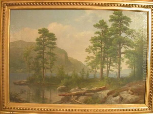 Harbor Island, Lake George, N.Y. - view 1