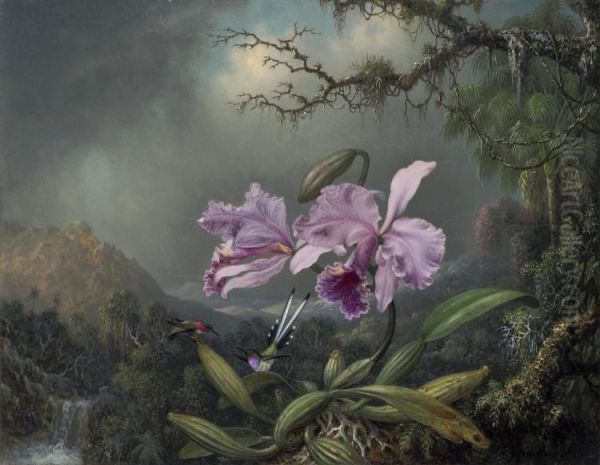 Study of an Orchid - view 1