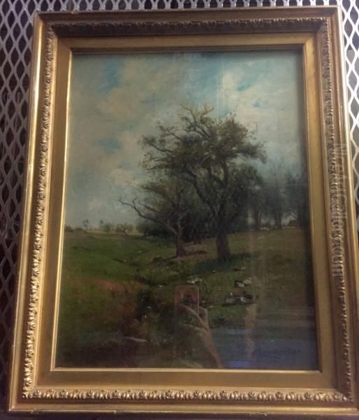Landscape with Ducks - view 1