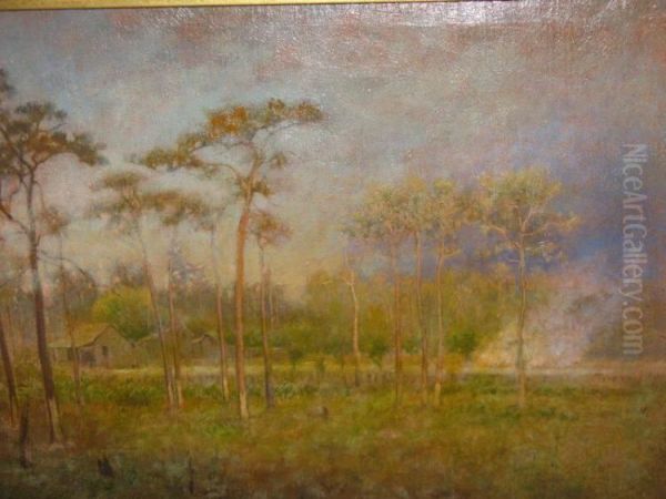 Turpentine Camp at Tarpon Springs, Florida - view 1