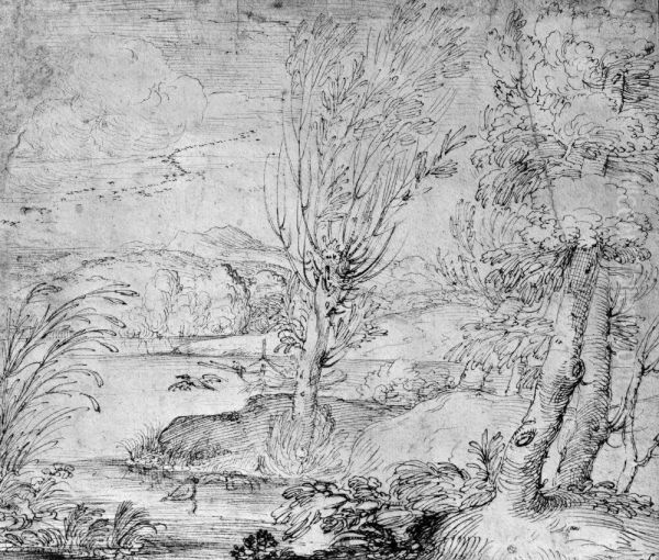 Landscape - view 1