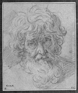 Head of an old man by Simone Cantarini (Pesarese)