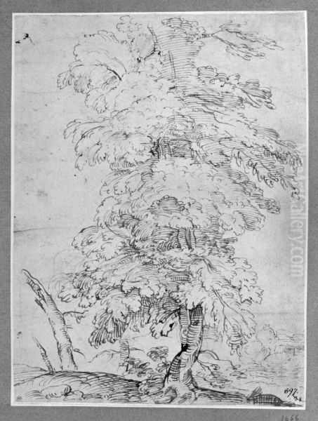 Tree - view 1