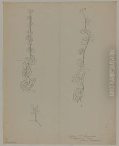 Convolvulus-rankor by P. C. Skovgaard