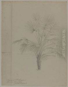 Solfjaderspalm by P. C. Skovgaard