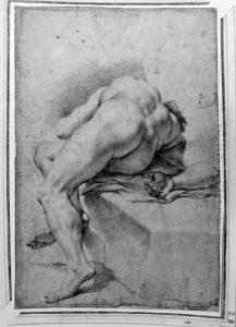 Reclining male nude see from the back by Carlo Cignani