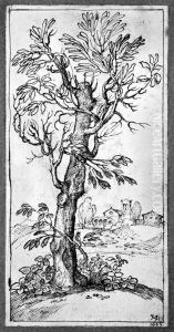 Landscape with tree in foreground Landscape with tree in foreground