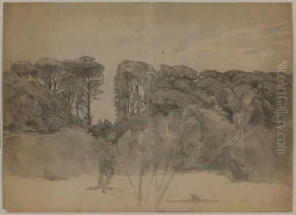 Studie av skogsparti, 1864 - view 1