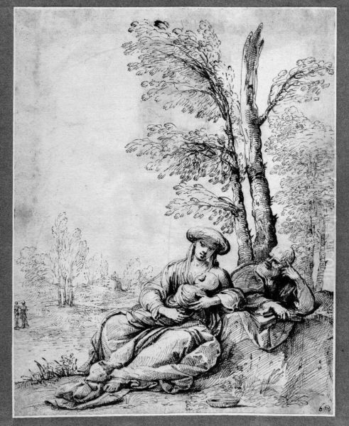 Rest on the flight into Egypt - view 1