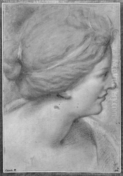 Head of a woman, profile right - view 1