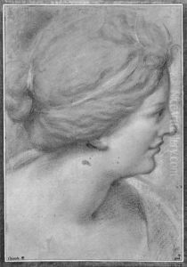 Head of a woman, profile right by Domenico Maria Canuti
