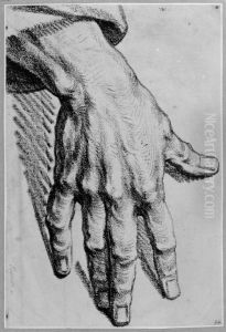 Study of a hand