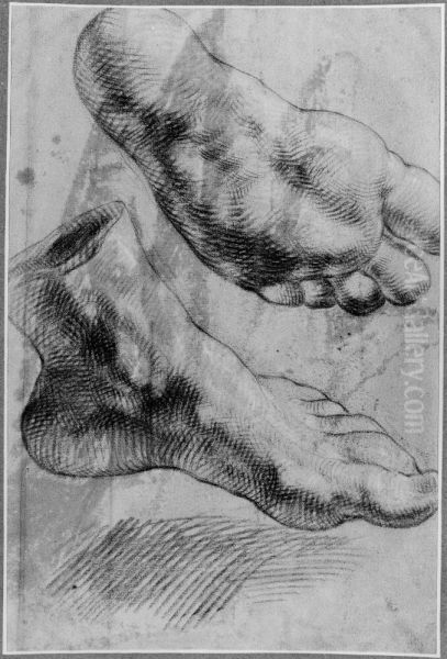 Study of feet - view 1