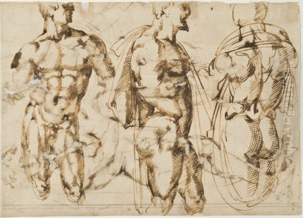 Study of three male nudes - view 1