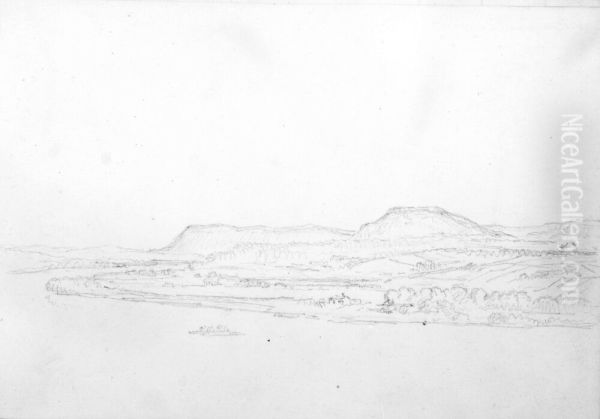Skissbok. Tradstudier. De flesta bladen tomma - view 1