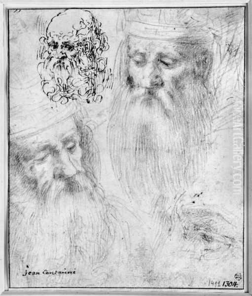 Three Studies of Old Men's Heads - view 1