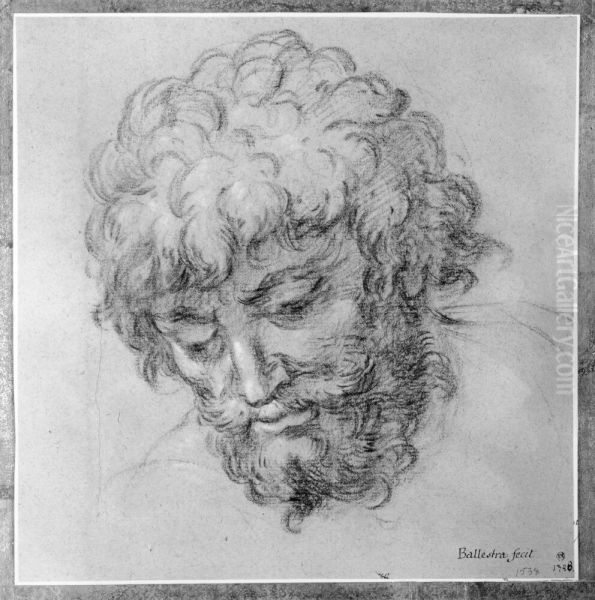 Head of an Old Man - view 1