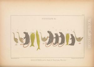 Kenisteno, and his Band of Trout Lake, Wisconsin by Seth Eastman