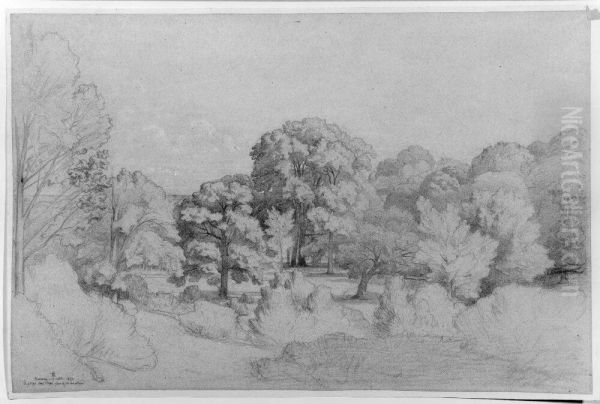 Vy av La Gorge aux loups, Fontainebleau - view 1