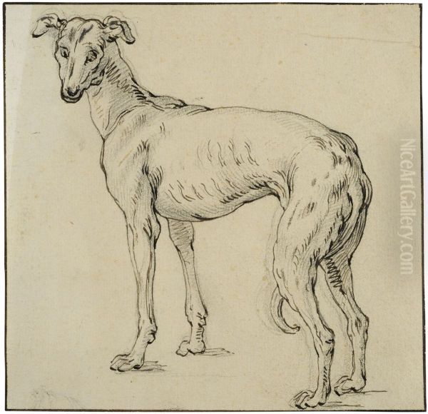 Greyhound - view 1