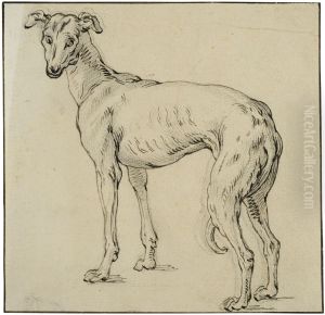 Greyhound Greyhound