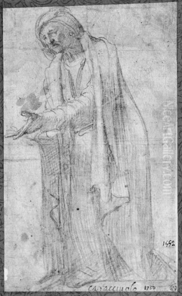 Old woman standing - view 1