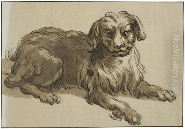 Langharig hund - view 1