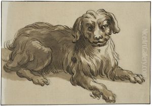 Langharig hund Langharig hund