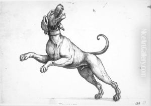 Barking dog Barking dog