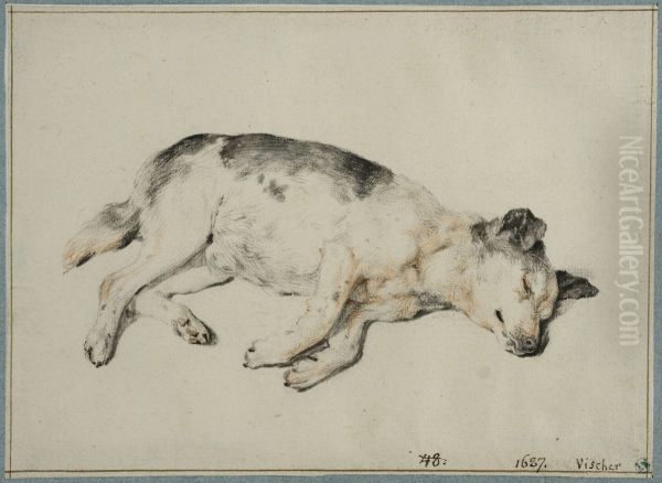 Sovande hund - view 1