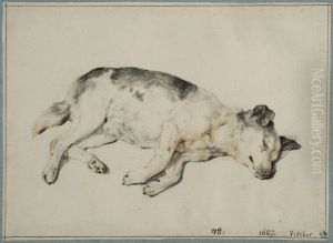 Sovande hund by Cornelis Ii Visscher