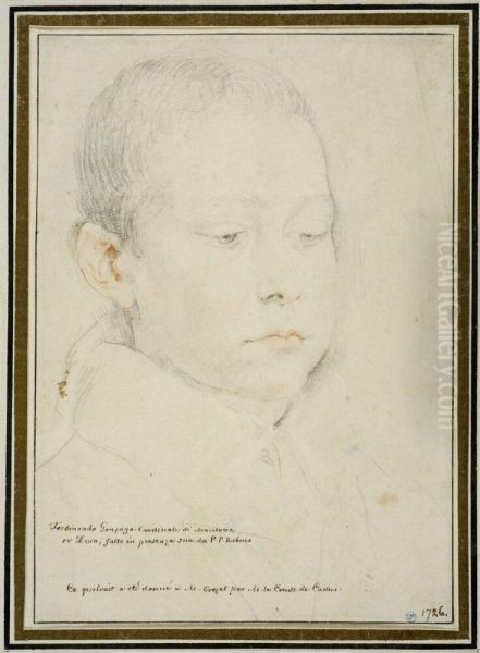 Portrait of Ferdinando I Gonzaga - view 1